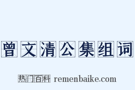 曾文清公集组词是什么意思的图片